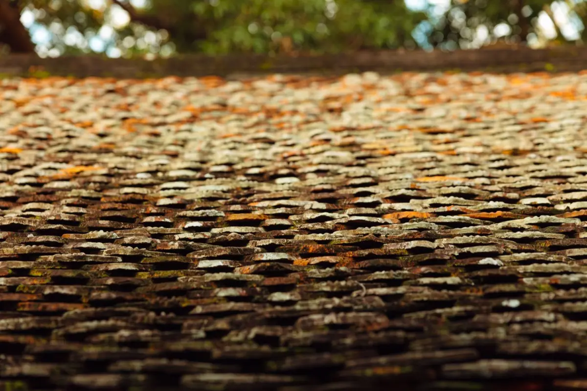 Aging shingle roof with moss growth and granule loss in Frederick, MD
